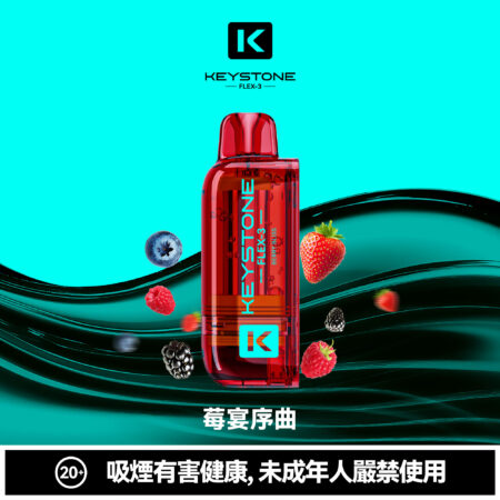 KEYSTONE FLEX-3 鑰石 25000口 專彈專機套裝｜大容量續航・台灣現貨