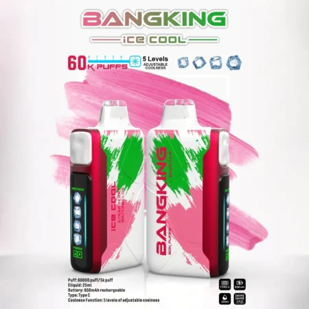 Bang King 60000 拋棄式電子煙｜LED 螢幕顯示 × 五檔冰度調節｜超長續航大容量・多款口味
